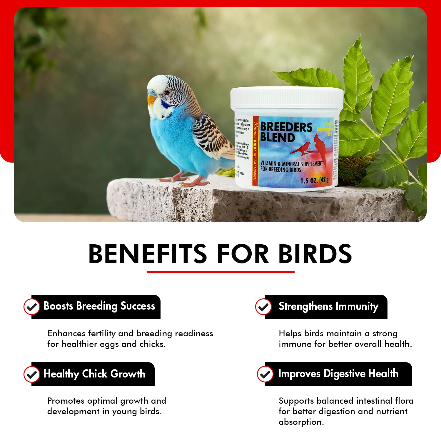 Morning Bird Breeders Blend 1.5 Oz - Protein Supplement for Birds - Supports Breeding, Chick Growth, Muscle Development & Immune